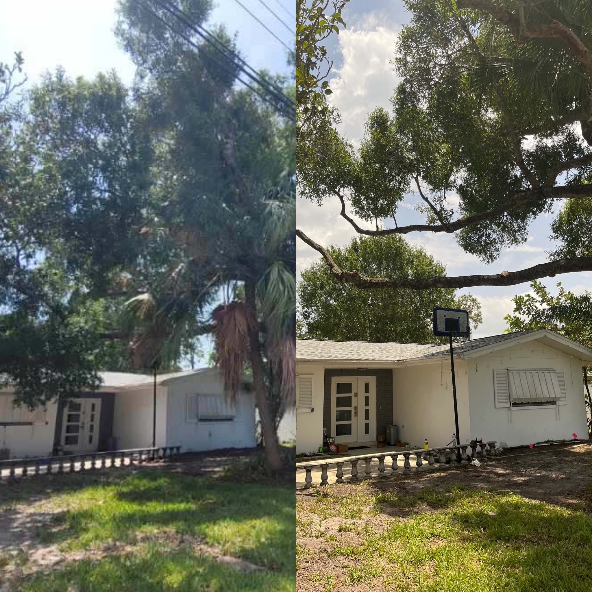 Before and After - Clarke's Pro Tree Service