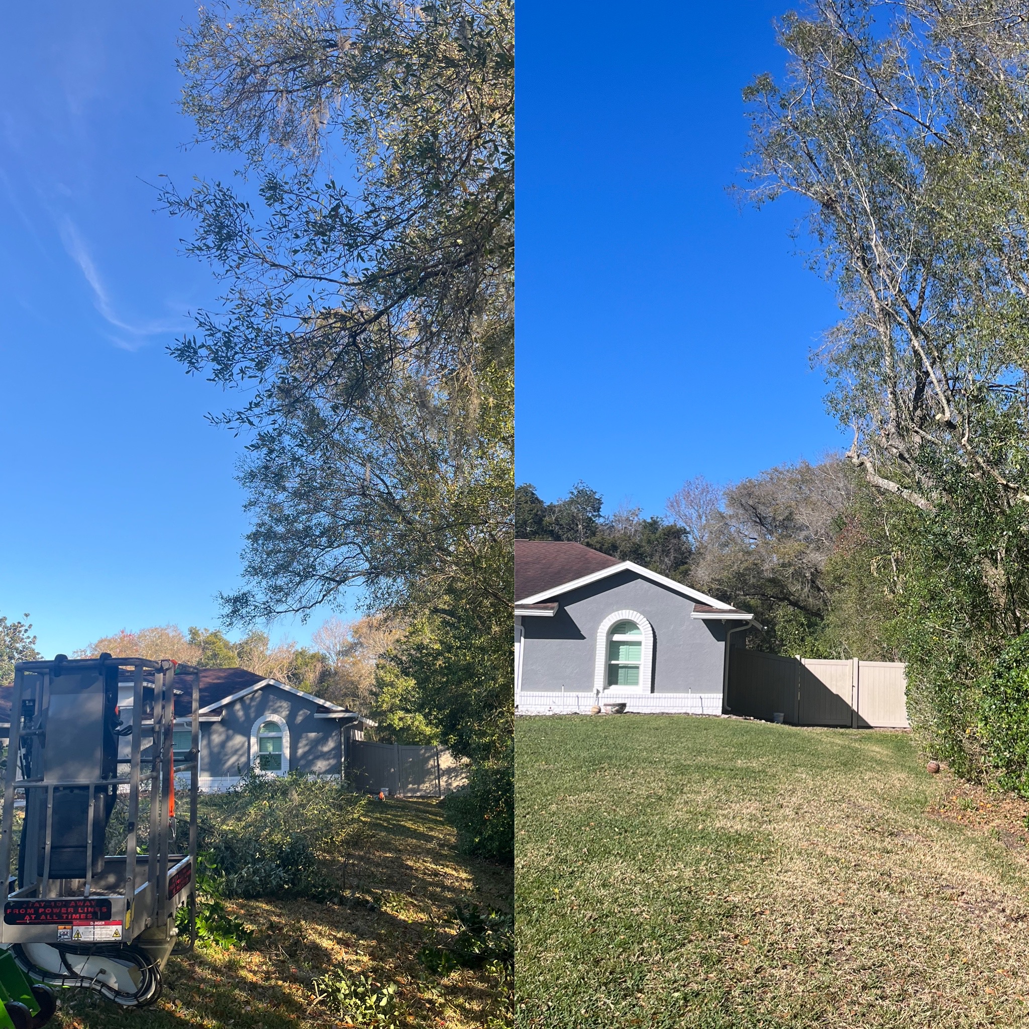 Before and After - Clarke's Pro Tree Service