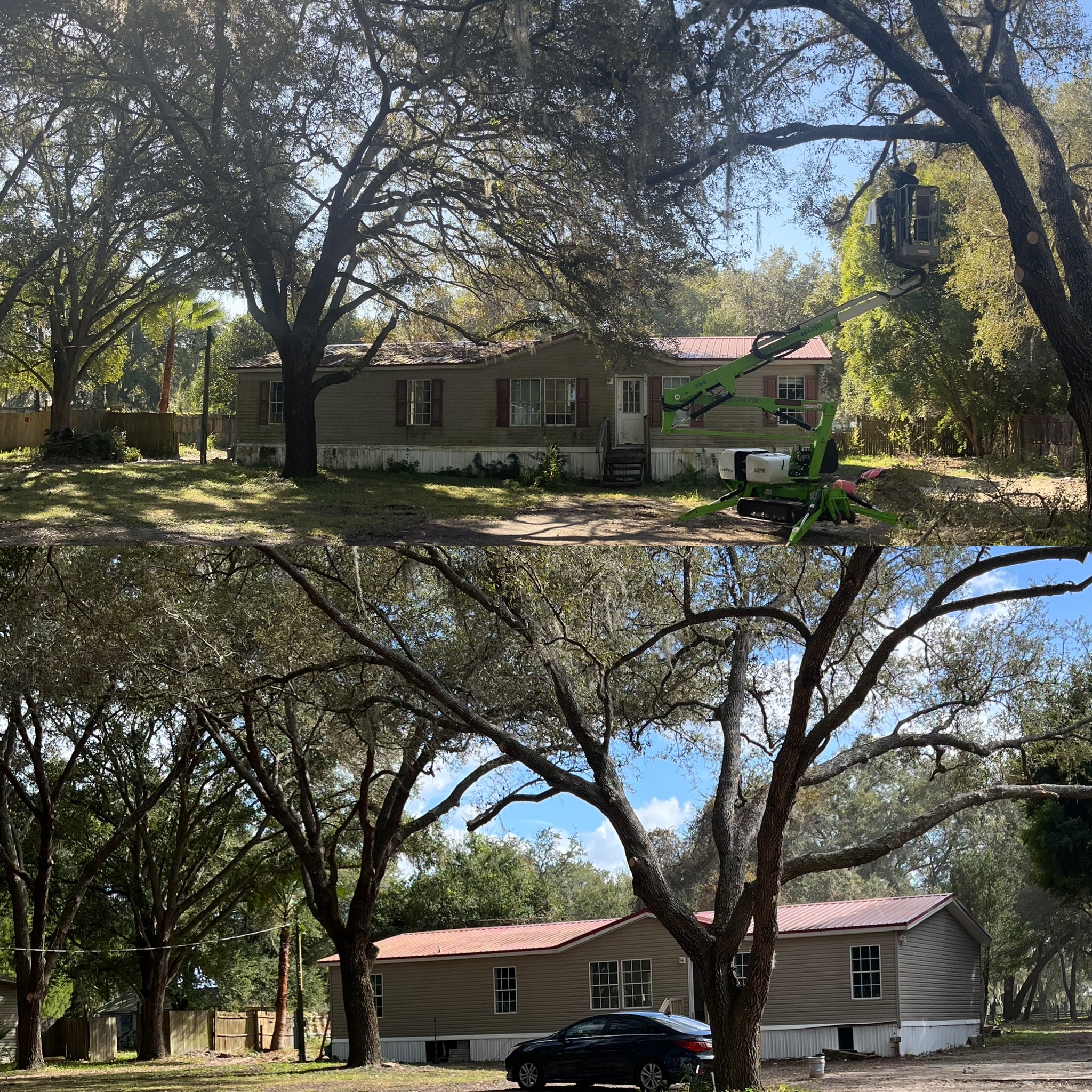 Before and After - Clarke's Pro Tree Service