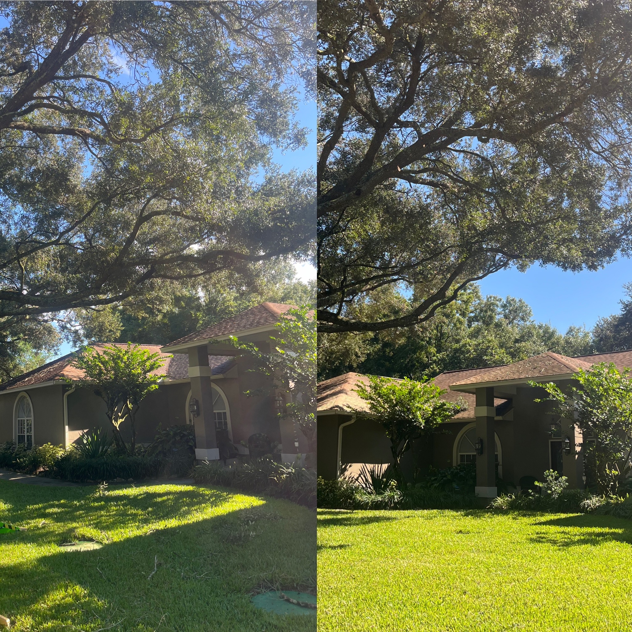 Before and After - Clarke's Pro Tree Service