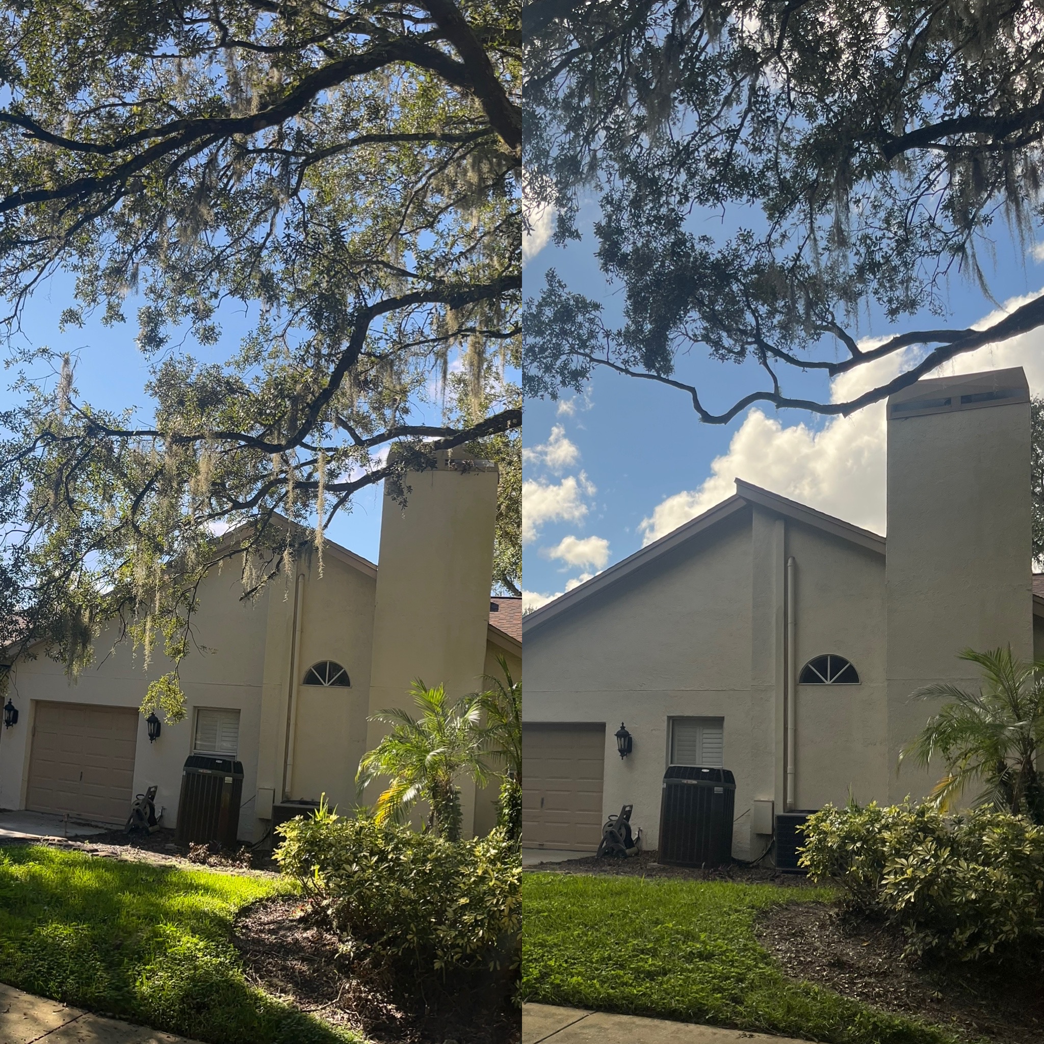 Before and After - Clarke's Pro Tree Service